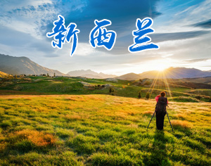 新西蘭