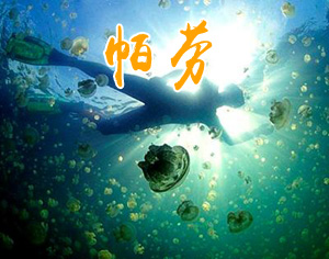 帕勞