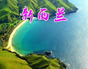 新西蘭