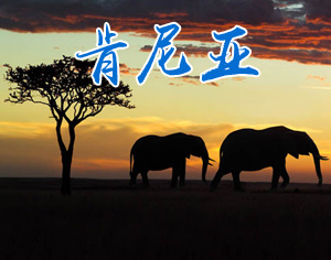 肯尼亞