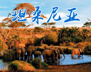坦桑尼亞