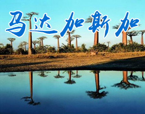 馬達加斯加