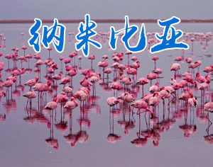 納米比亞