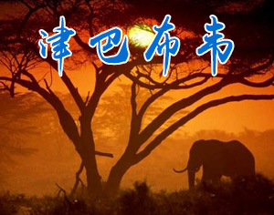 津巴布韋