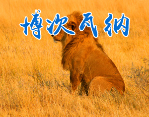 博次瓦納