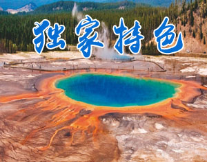 美國獨家特色